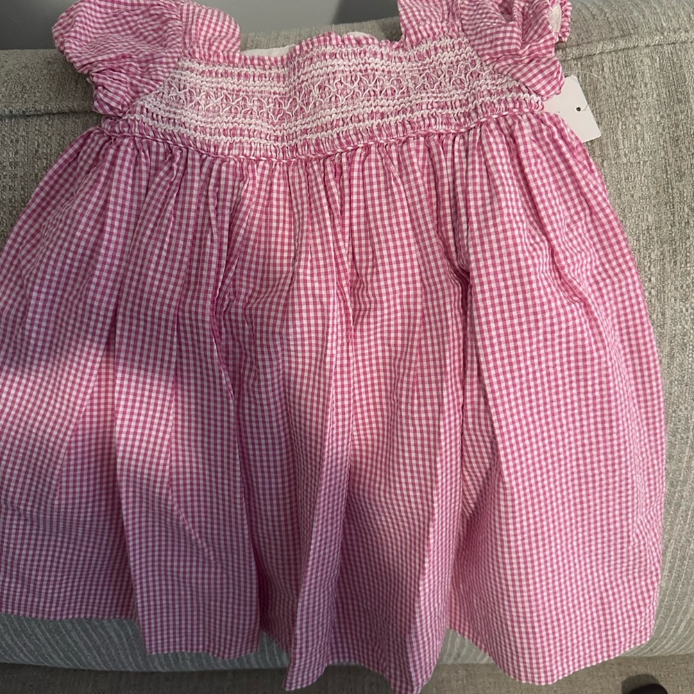 Polo by Ralph Lauren Pink Gingham Kids Dress